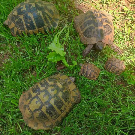 Appartement M&r Rovinj